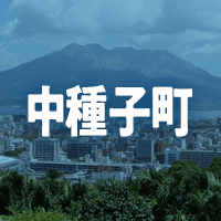 熊毛郡中種子町で借りれる不動産担保ローン