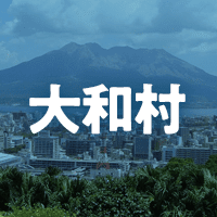 大島郡大和村で借りれる不動産担保ローン